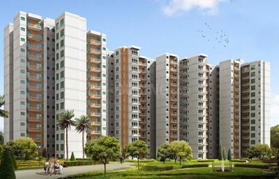 3 BHK Apartment