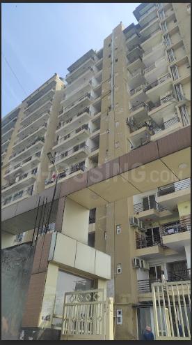 VXL French Arcade - Image 5