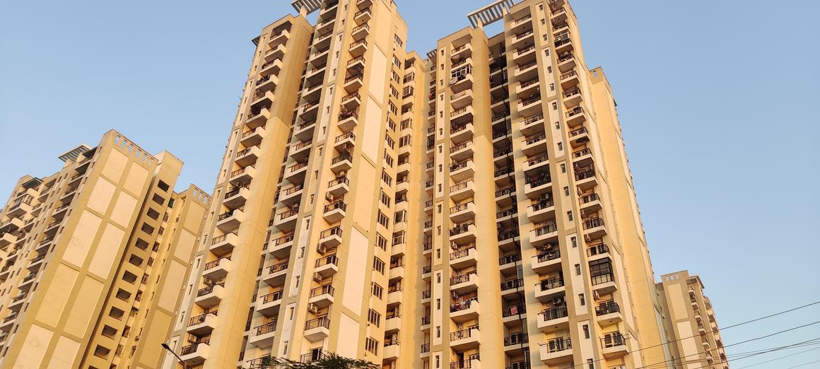 Nimbus The Golden Palms - Image 5