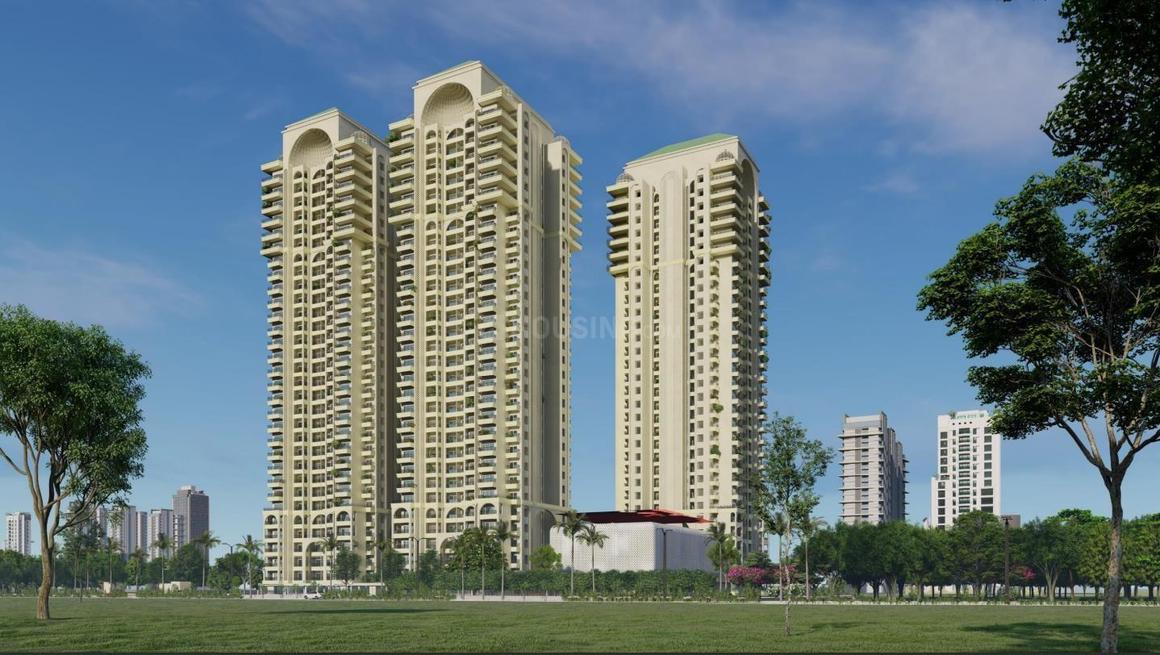 Apex Quebec - Image 5