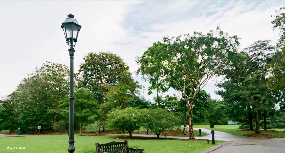 Golden Park - Image 2
