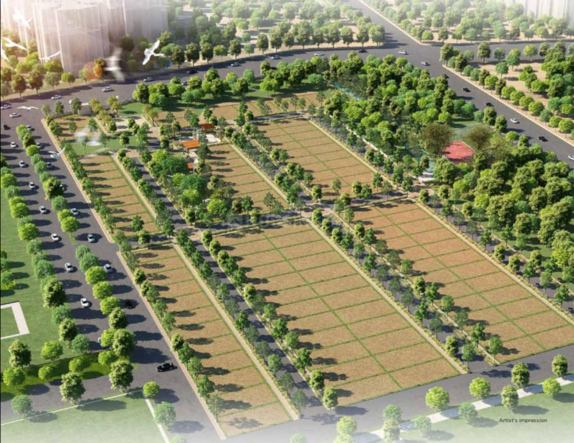Brigade Oasis - Image 2