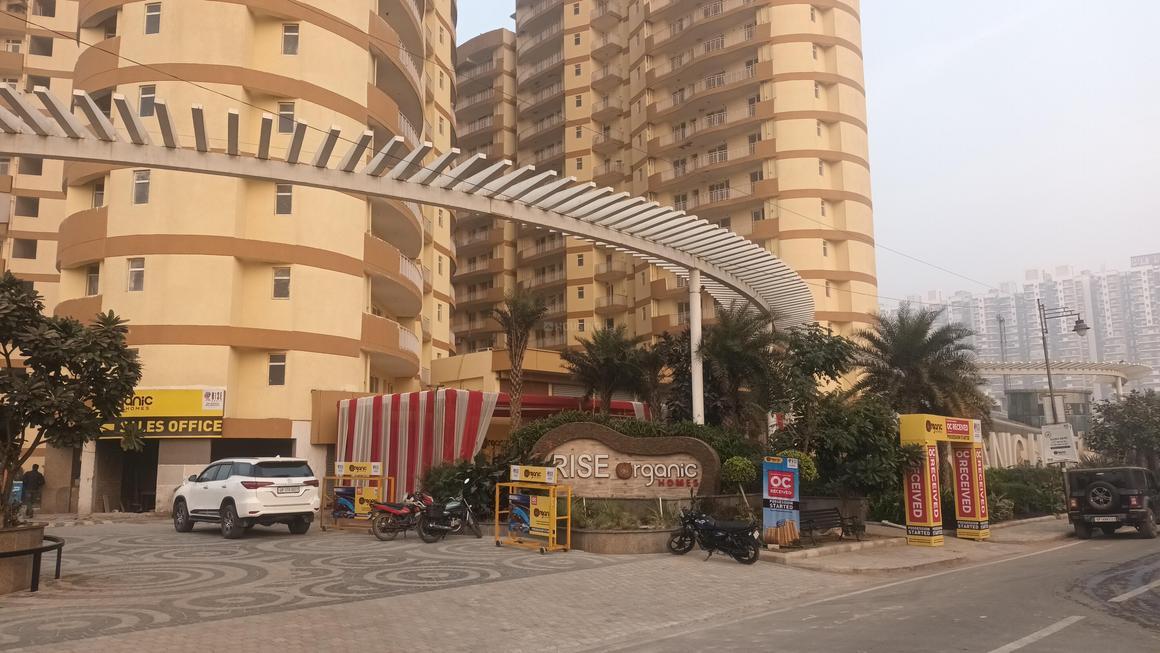 Rise Organic - Image 7