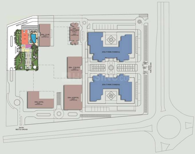 Beetle Orchid - Image 32