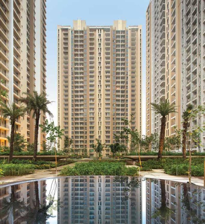 ABA Cleo County - Image 4