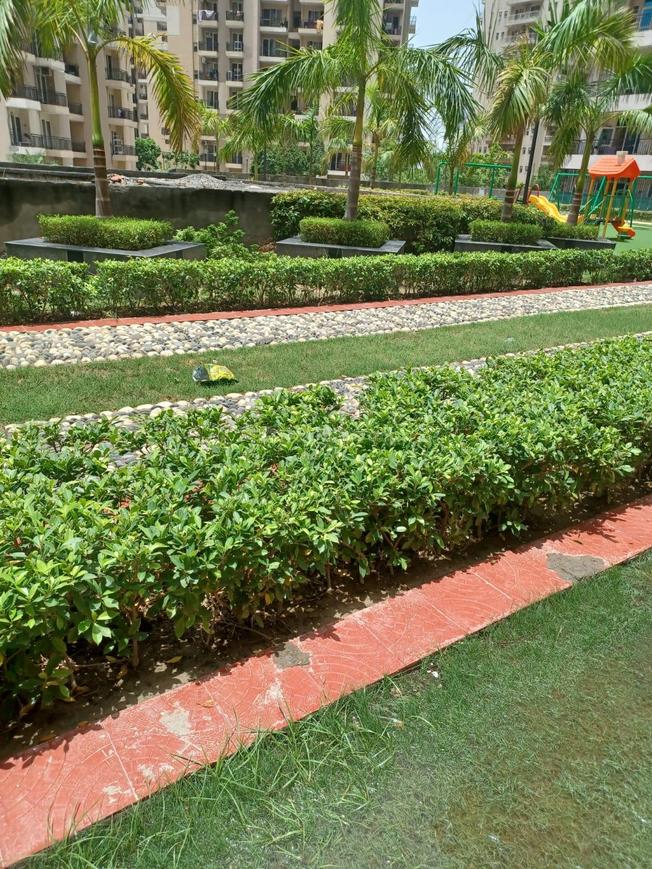 JKG Palm Court - Image 9