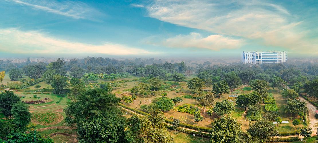 DLF One Midtown - Image 28