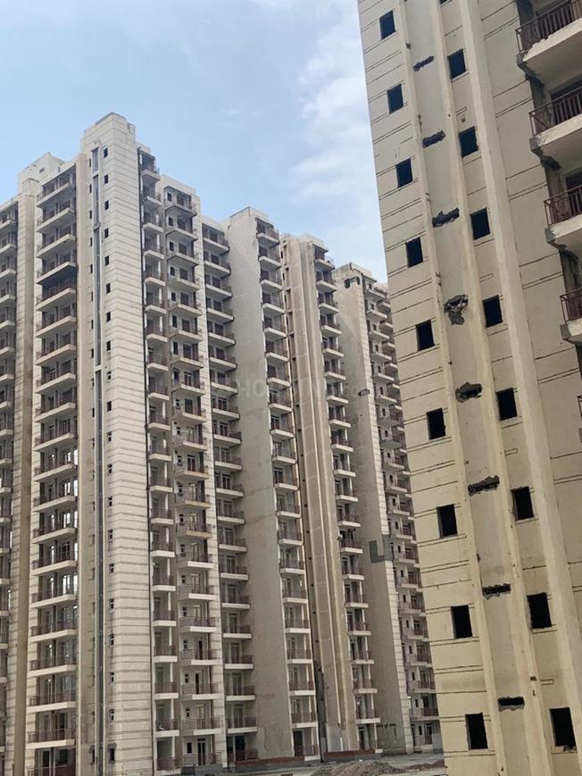 Aims Green Avenue - Image 17