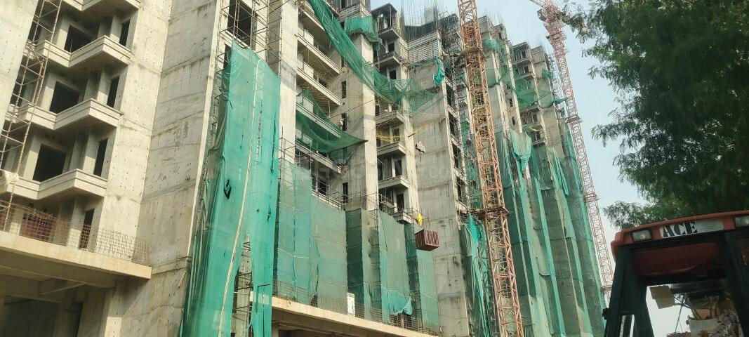 Gaurs The Islands - Image 24