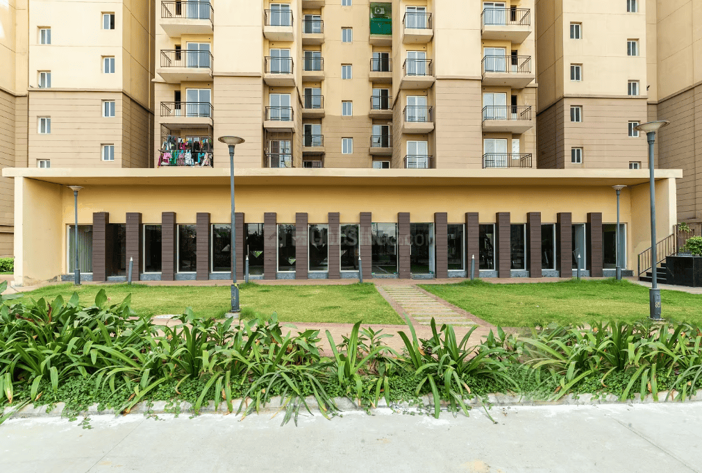 City Grace - Image 9