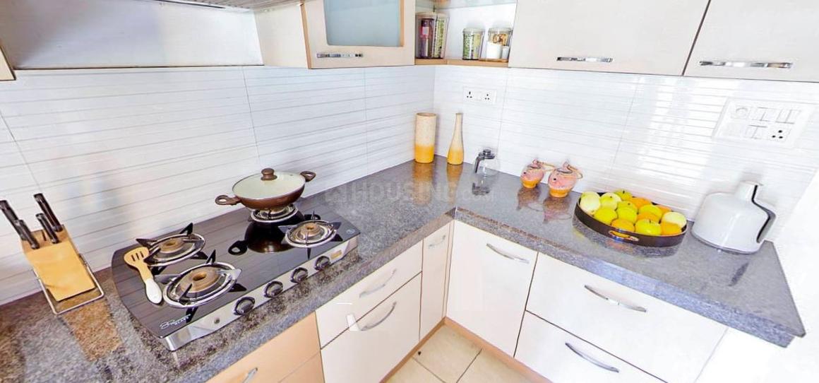 Gulshan Ikebana - Image 12