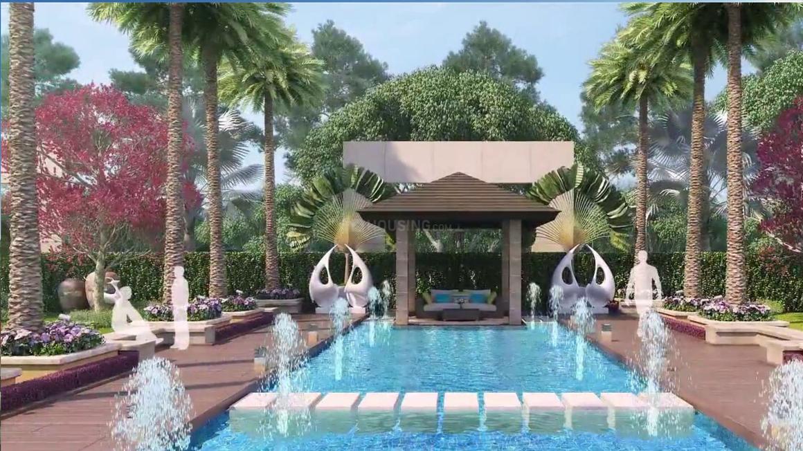 Ratan Pearls - Image 23