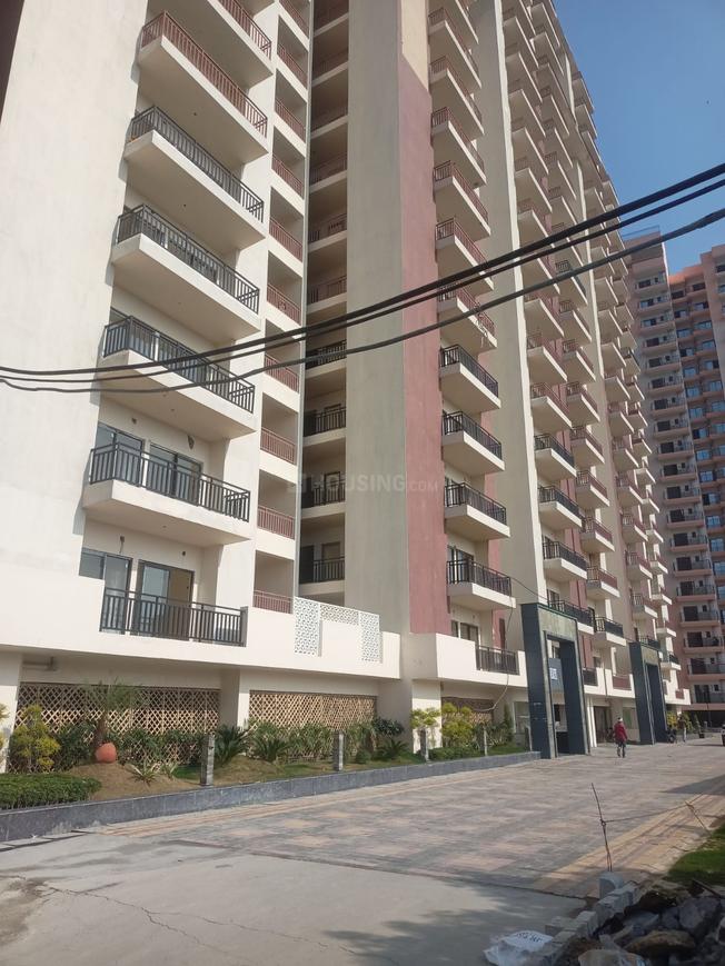 Parakh The Golden Gate - Image 6