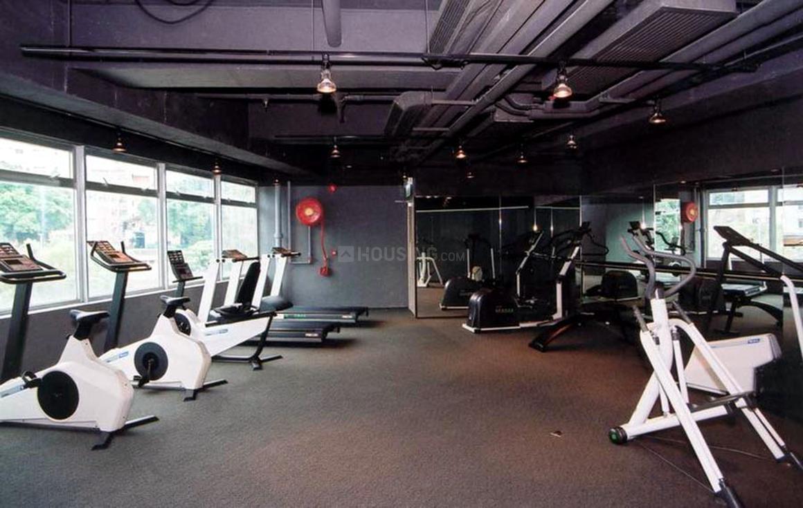 BLGC Superb - Image 7