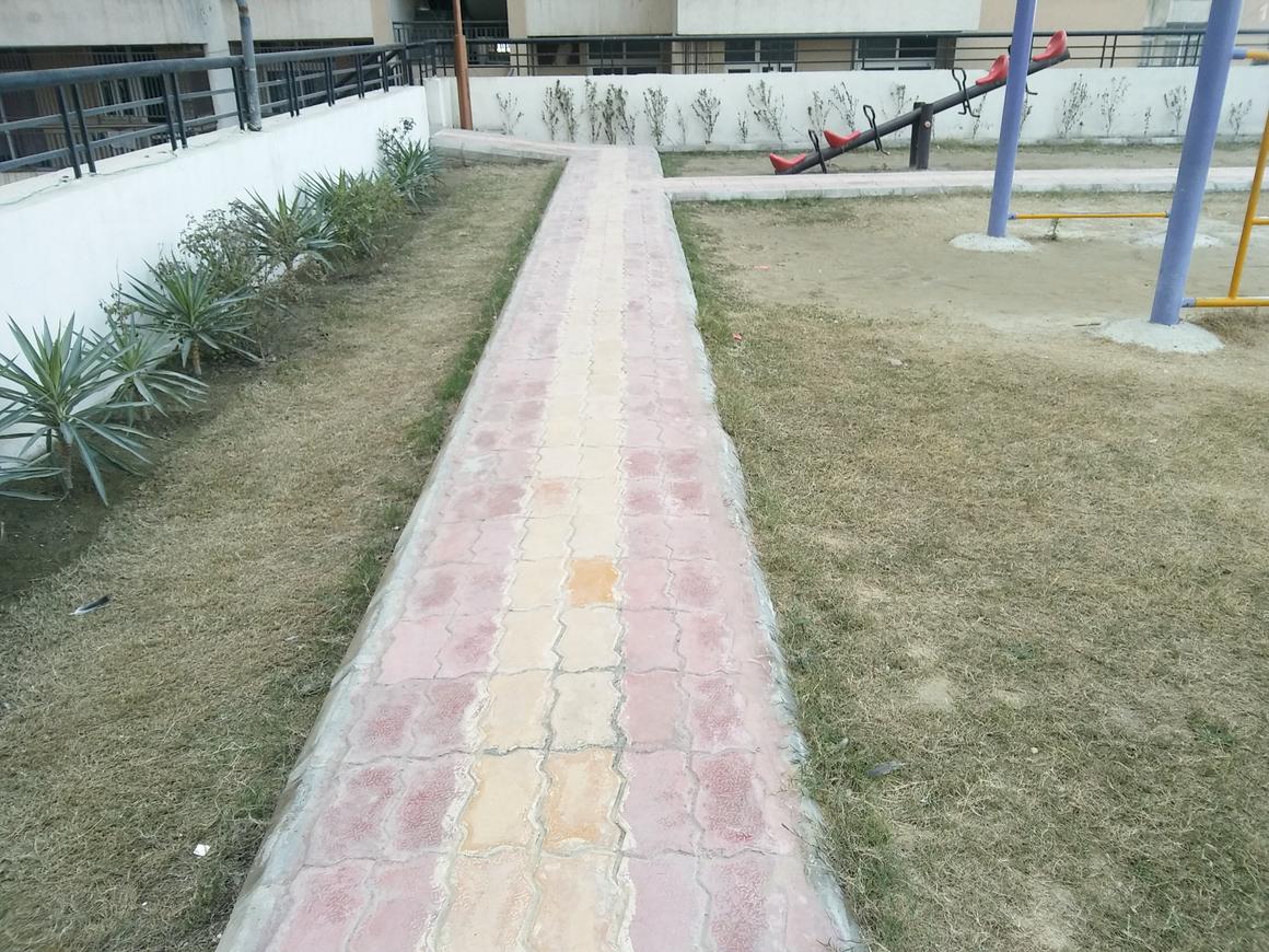 Saviour Greenisle - Image 20