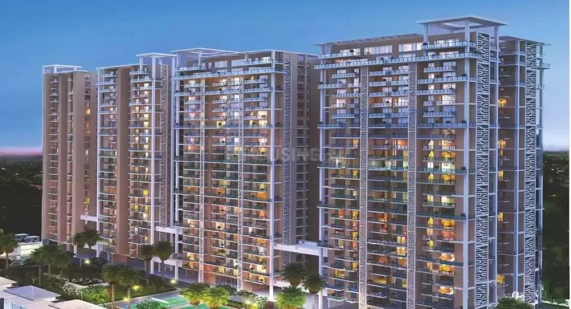 Sikka Kimaantra Greens - Image 4