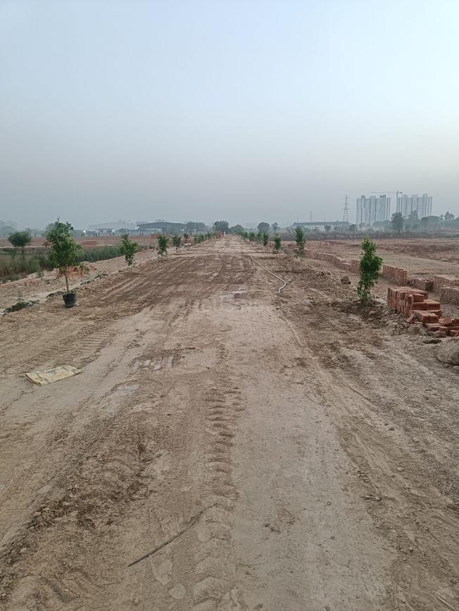 Rose N City - Image 20