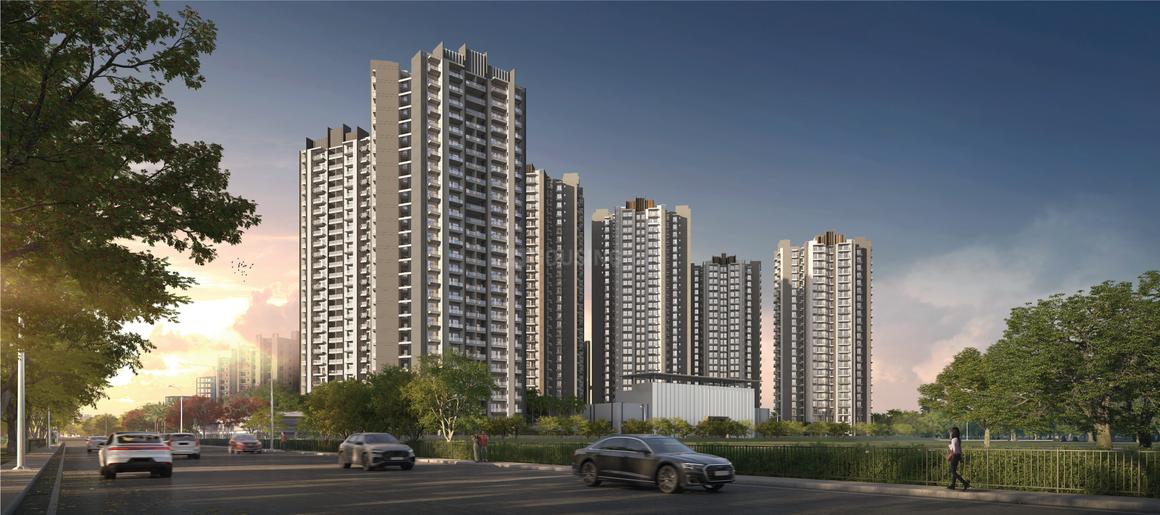 RG Pleiaddes - Image 3