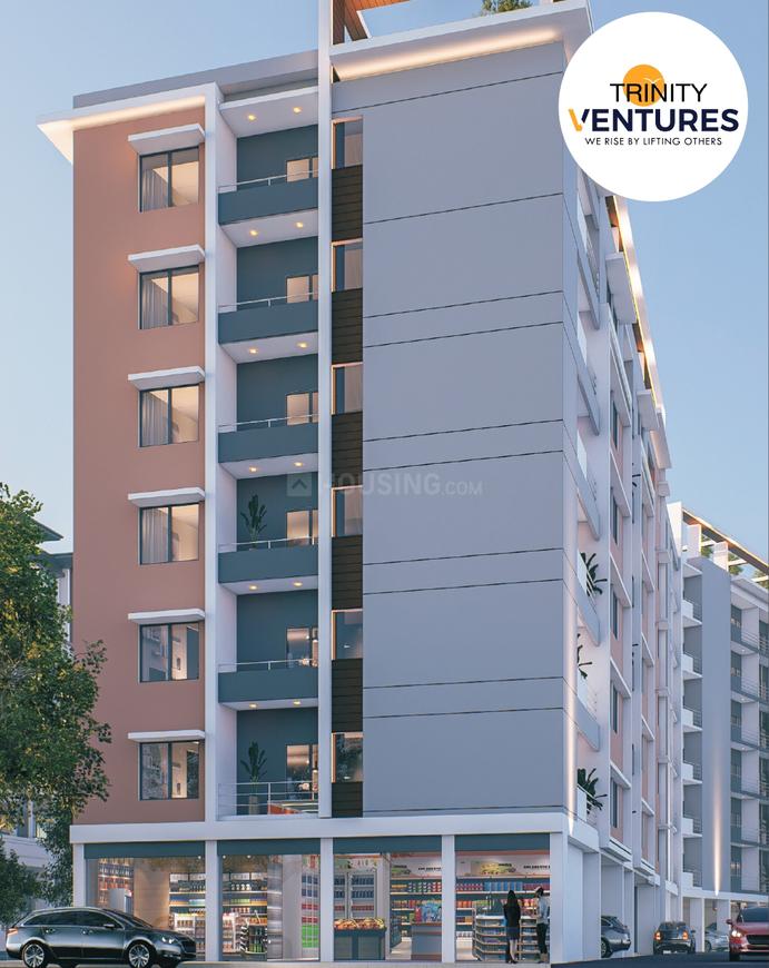 Trinity Provica Dream Valley - Image 2