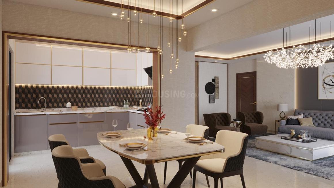 Apex Alphabet - Image 16