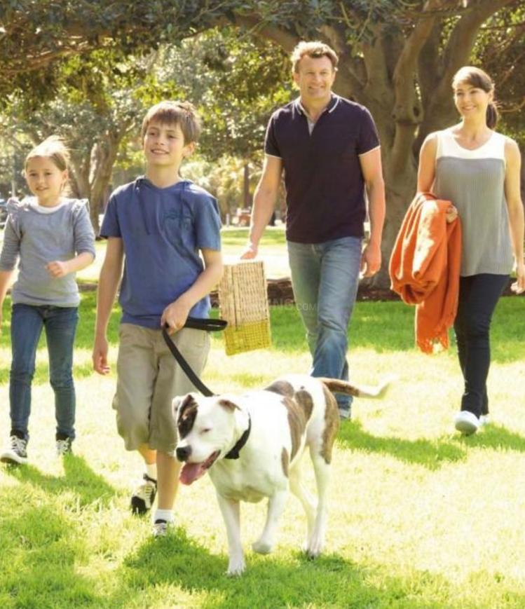 Lotus Villas - Image 6