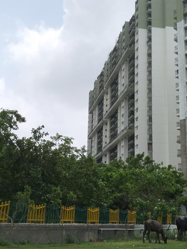 Eldeco Edge - Image 6