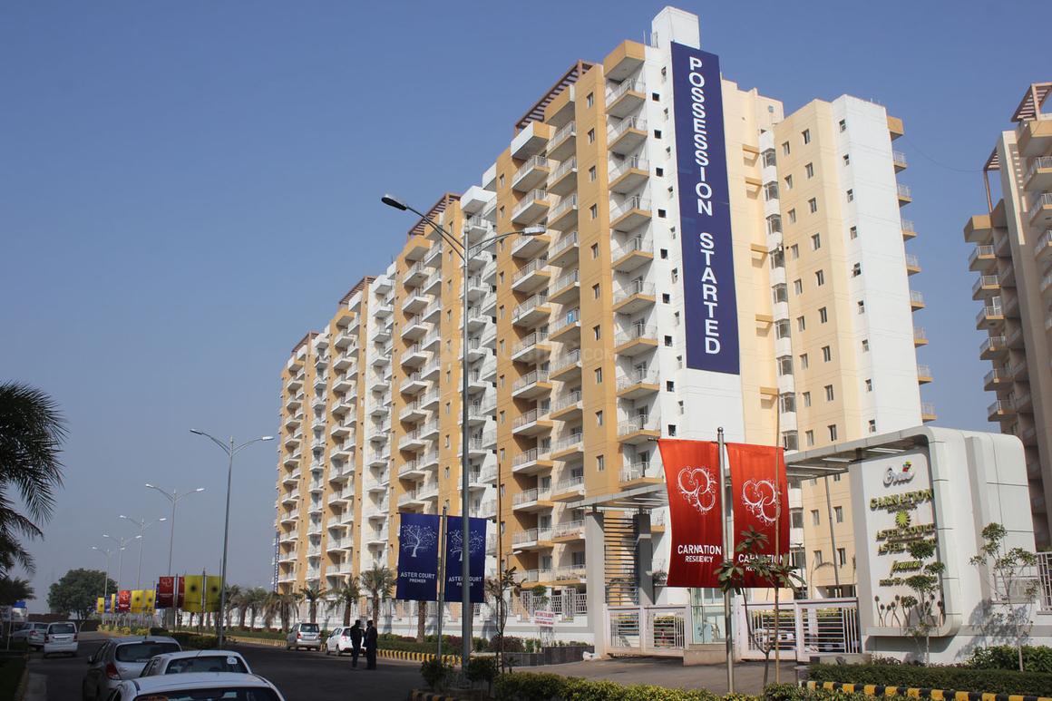 Orris Carnation Residency - Image 3