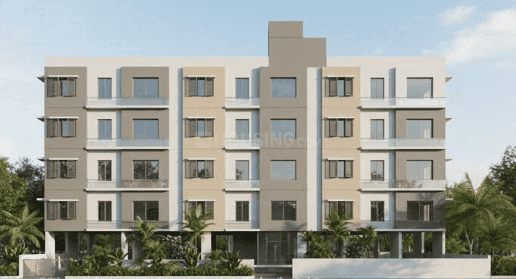 Amberstone Illumina - Image 2