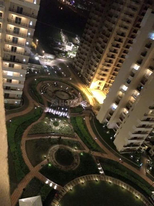 Exotica Fresco - Image 37