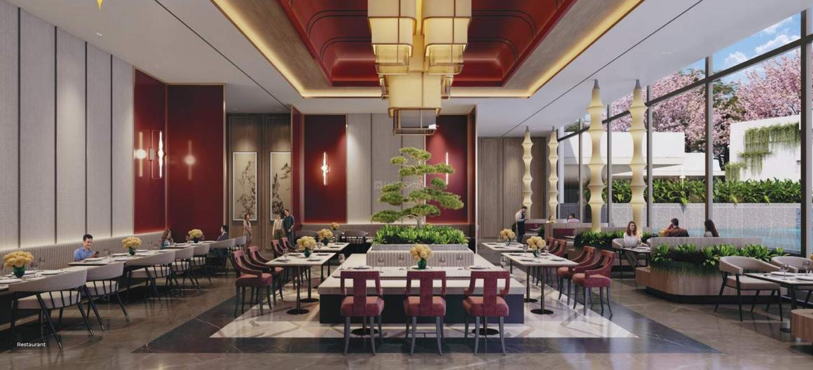 RG Pleiaddes - Image 29