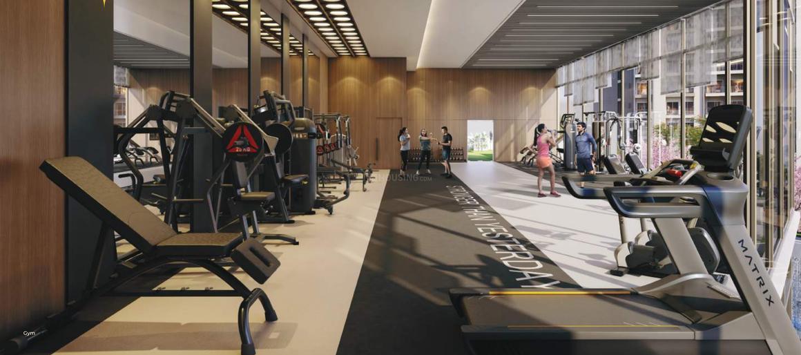 RG Pleiaddes - Image 13