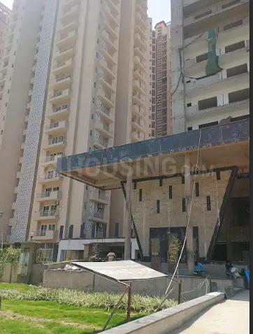 Apex Alphabet - Image 36