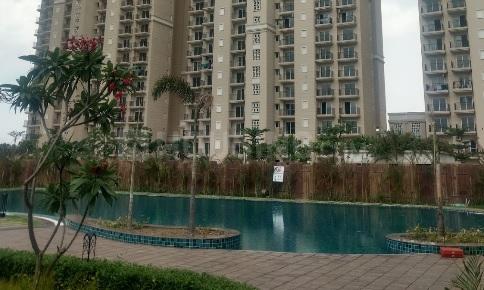 ATS Dolce - Image 33