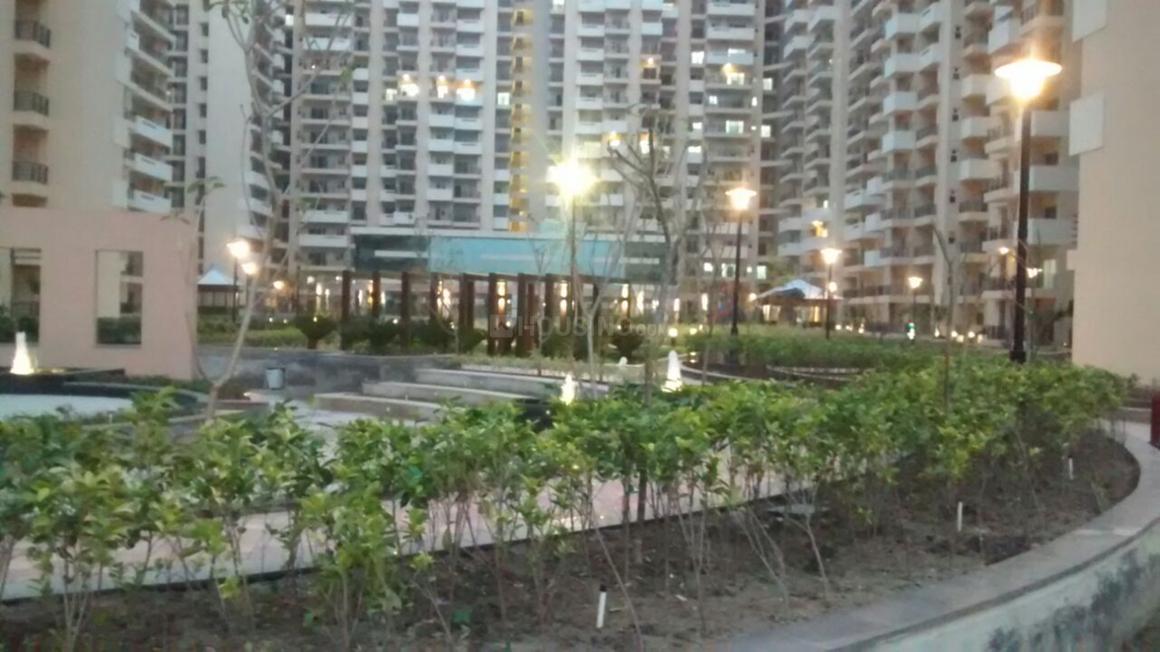 Exotica Fresco - Image 11