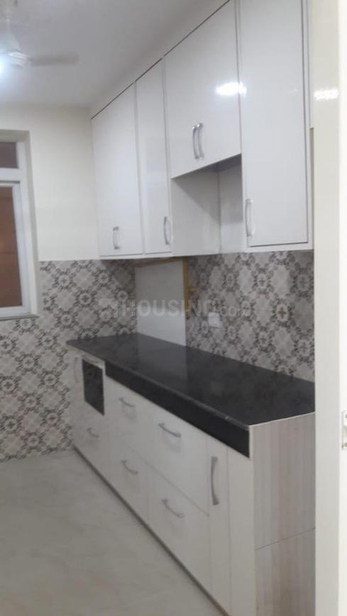 Sikka Karmic Greens - Image 27