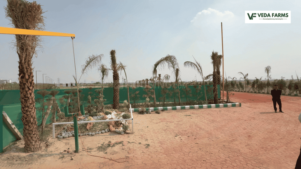 Veda Farm - Image 15