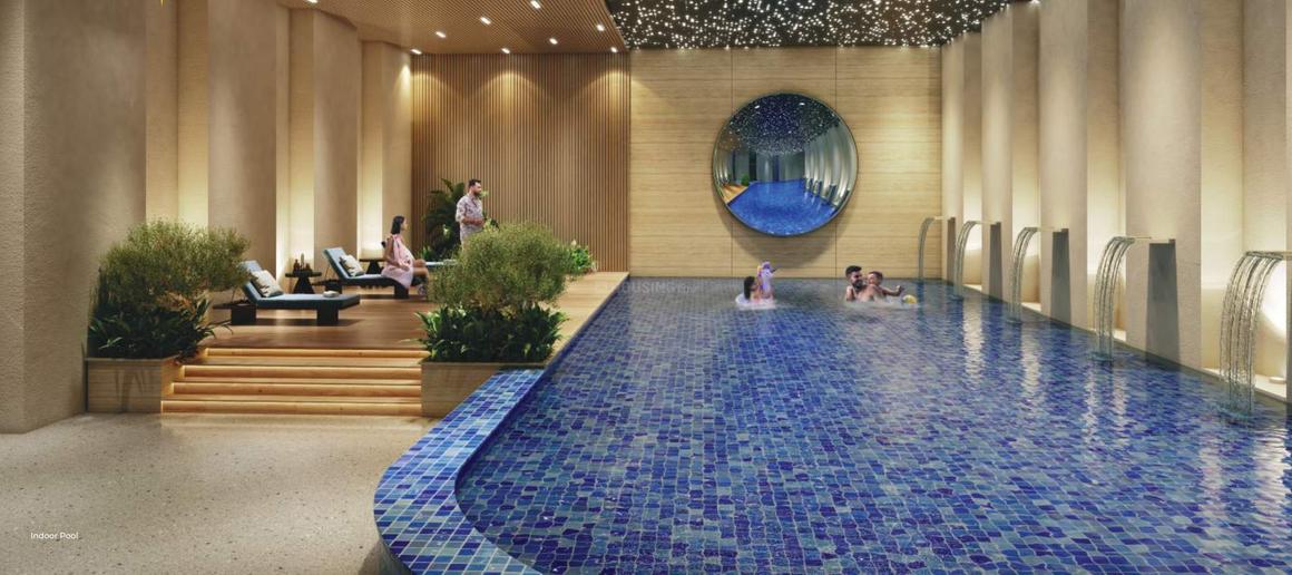 RG Pleiaddes - Image 31