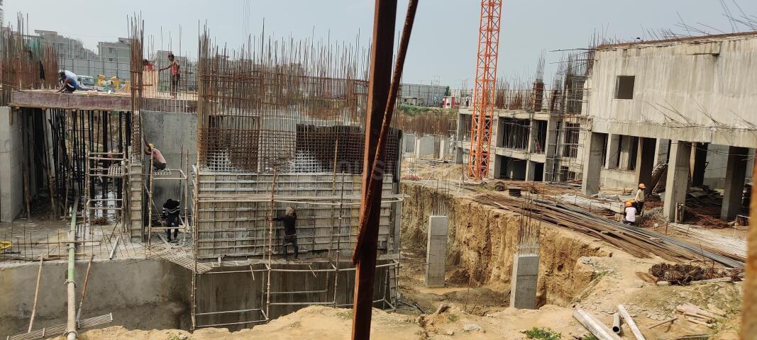 Irish Platinum - Image 33