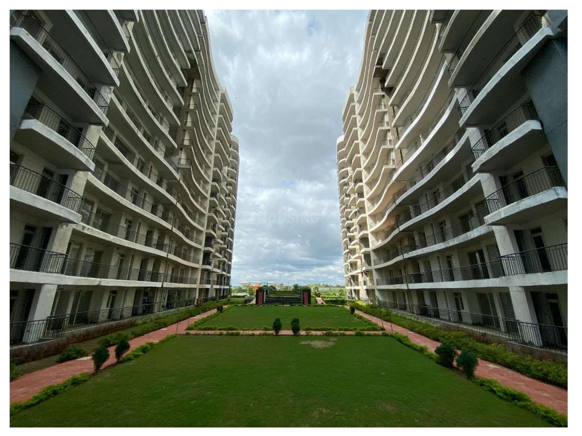 Home And Soul Beetle Lap - Image 19