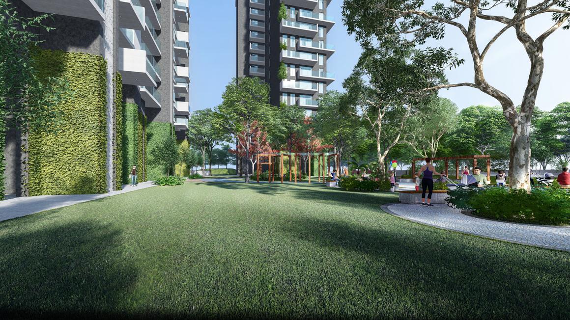 Apex D Rio - Image 23