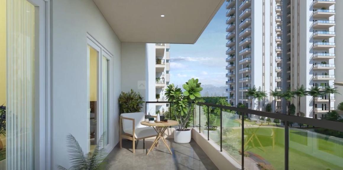 Irish Platinum - Image 9