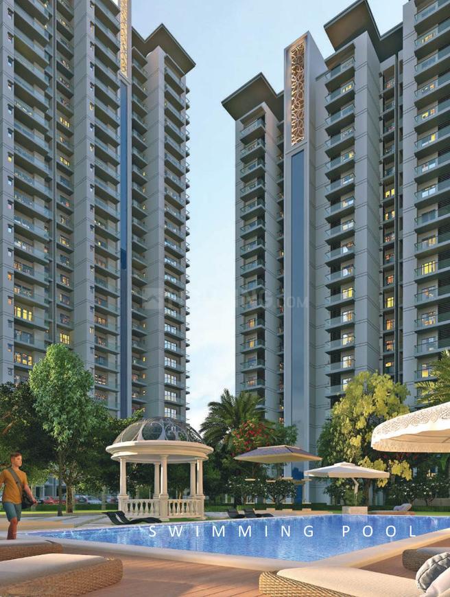 Renox Thrive - Image 15