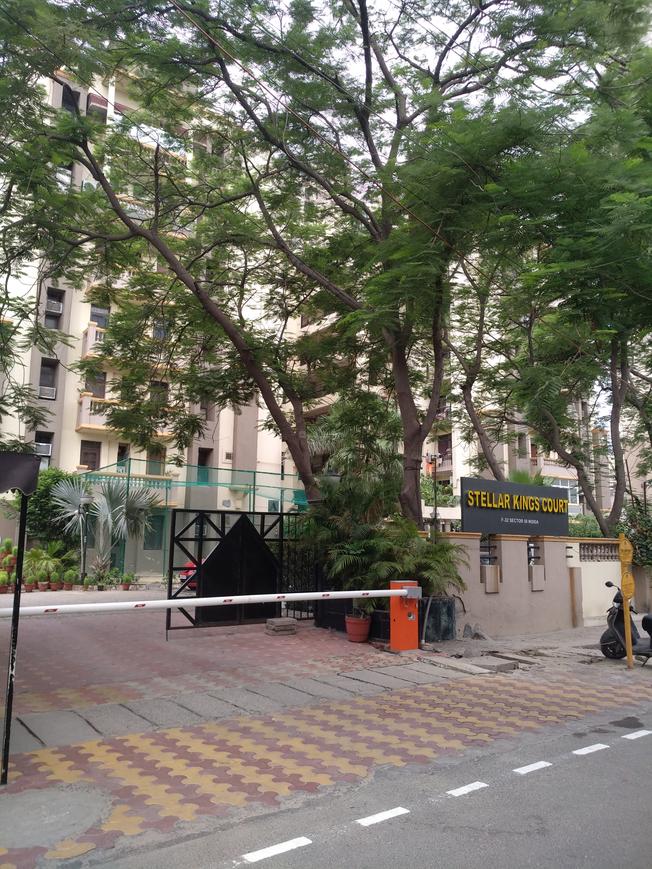 Stellar Kings Court - Image 6