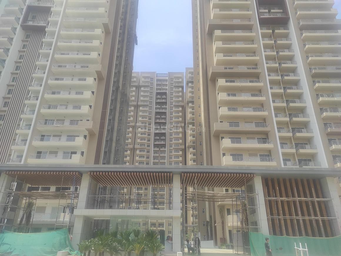 IVY County - Image 33