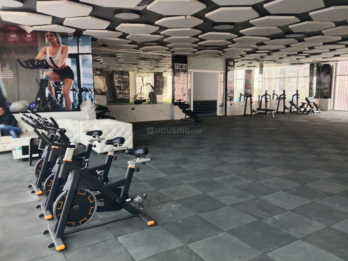 Oasis Grandstand - Image 43