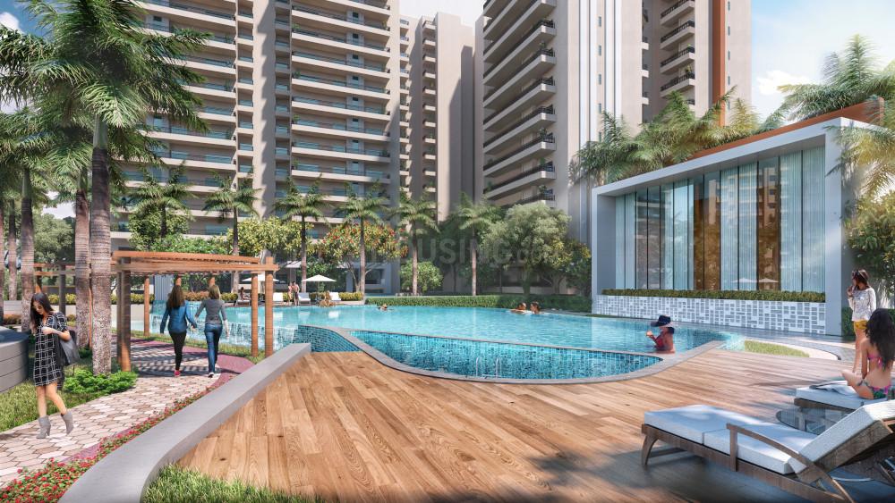 Oasis Grandstand - Image 44