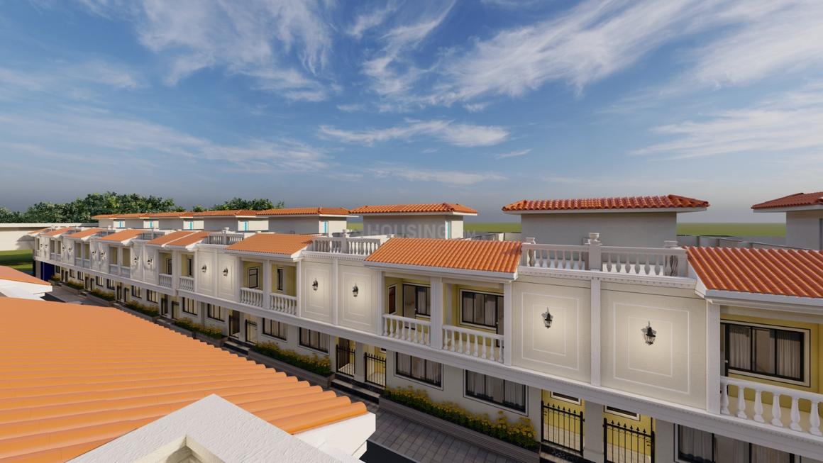 Trinity Primus - Image 4