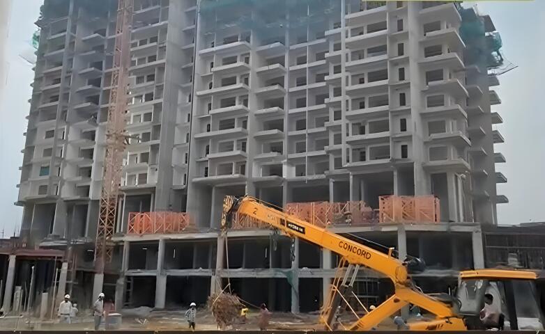 Ivory County Gold - Image 27