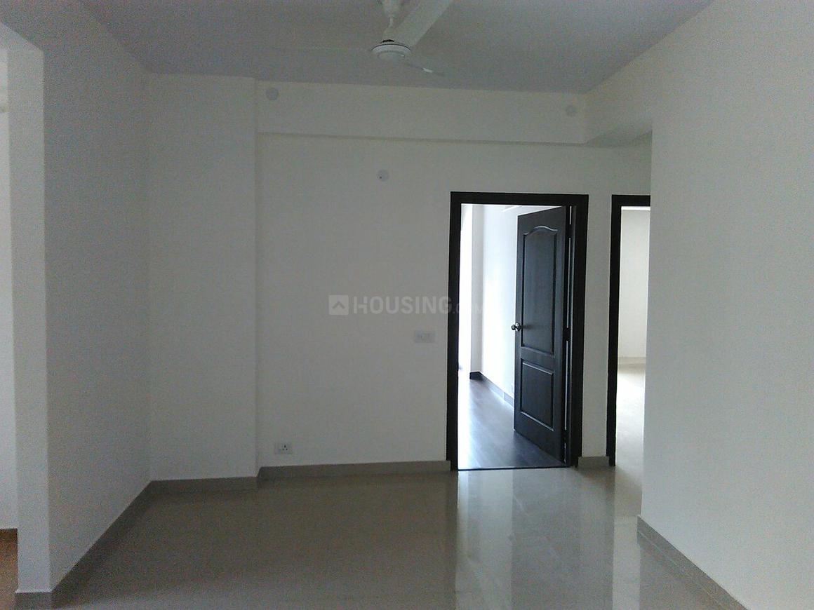 Primrose Ryne - Image 22