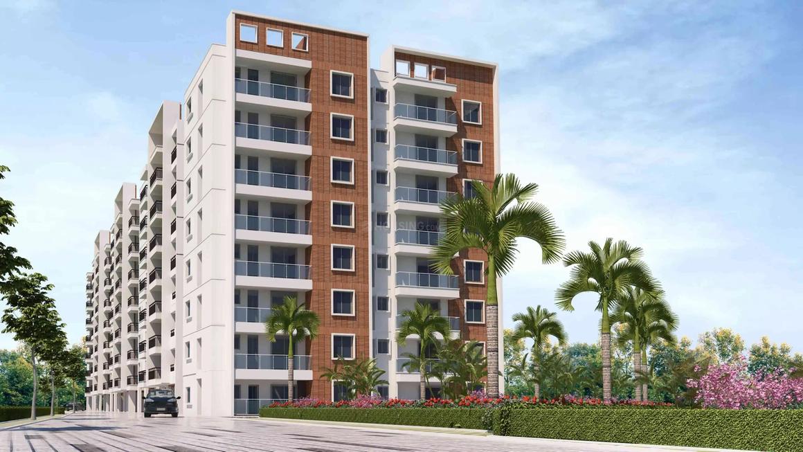 RK Celesta - Image 3